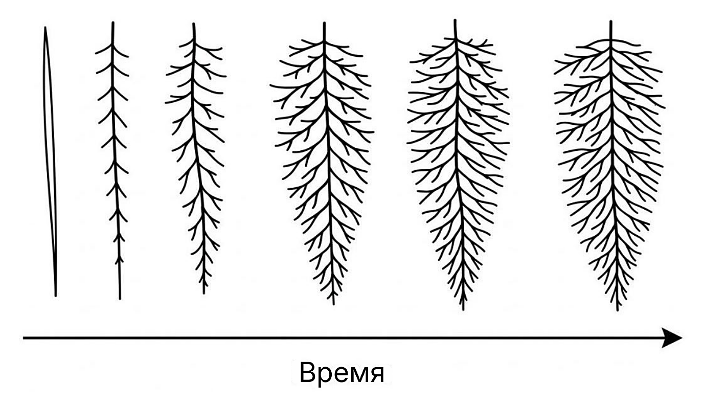 Рисунок