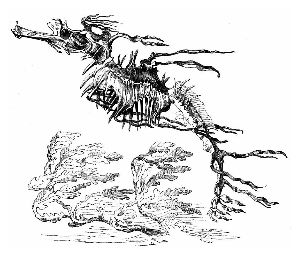 Рисунок