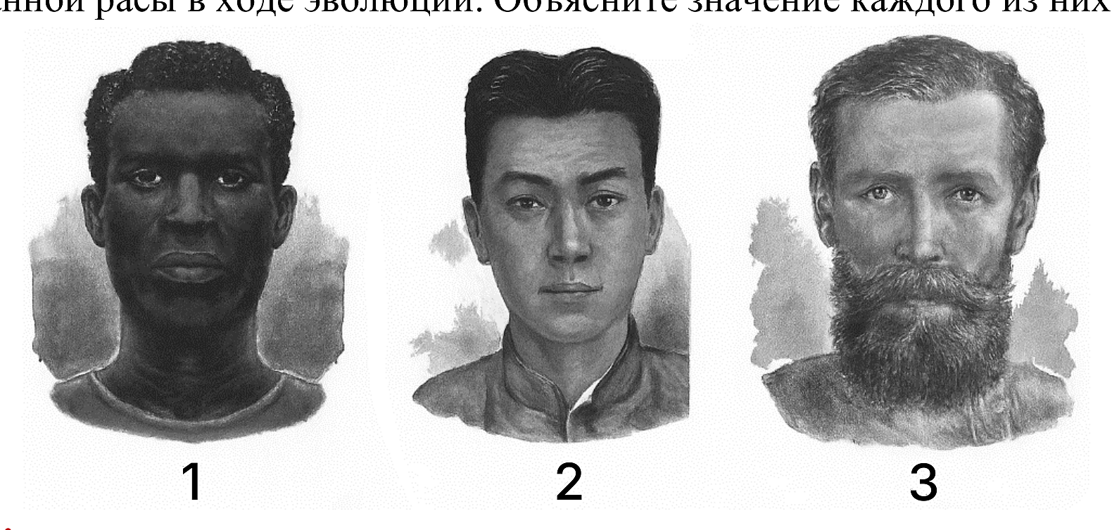 Рисунок