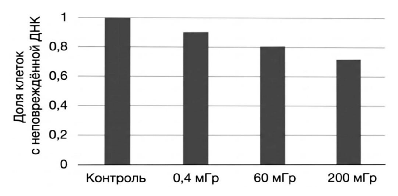 Рисунок