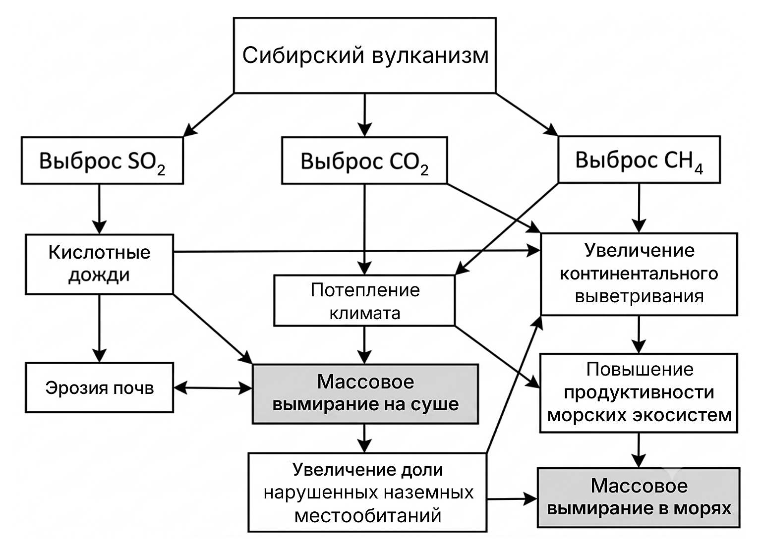 Рисунок