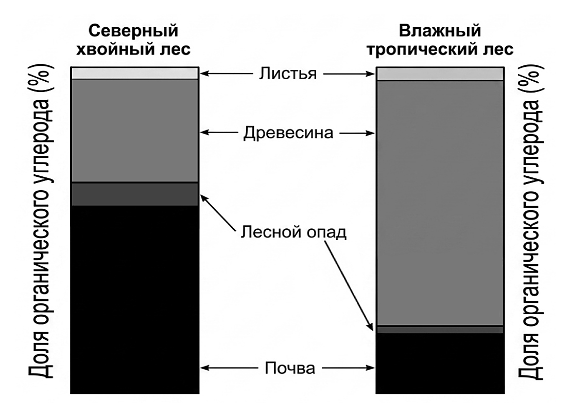 Рисунок