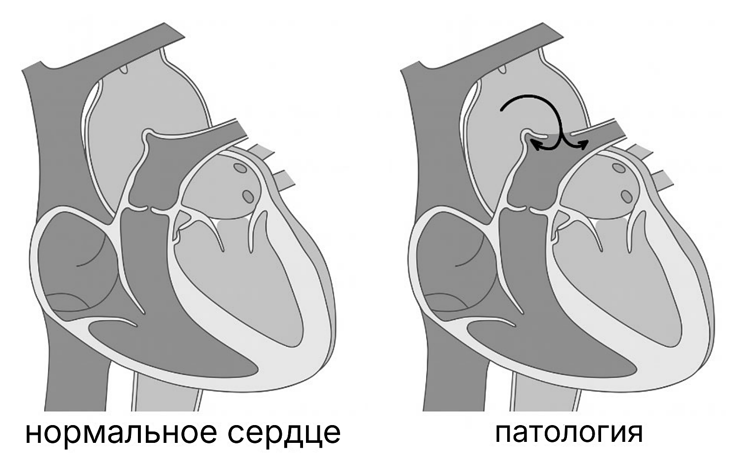 Рисунок