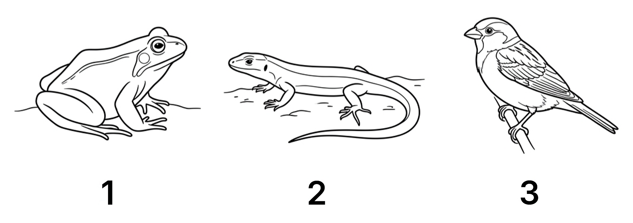 Рисунок