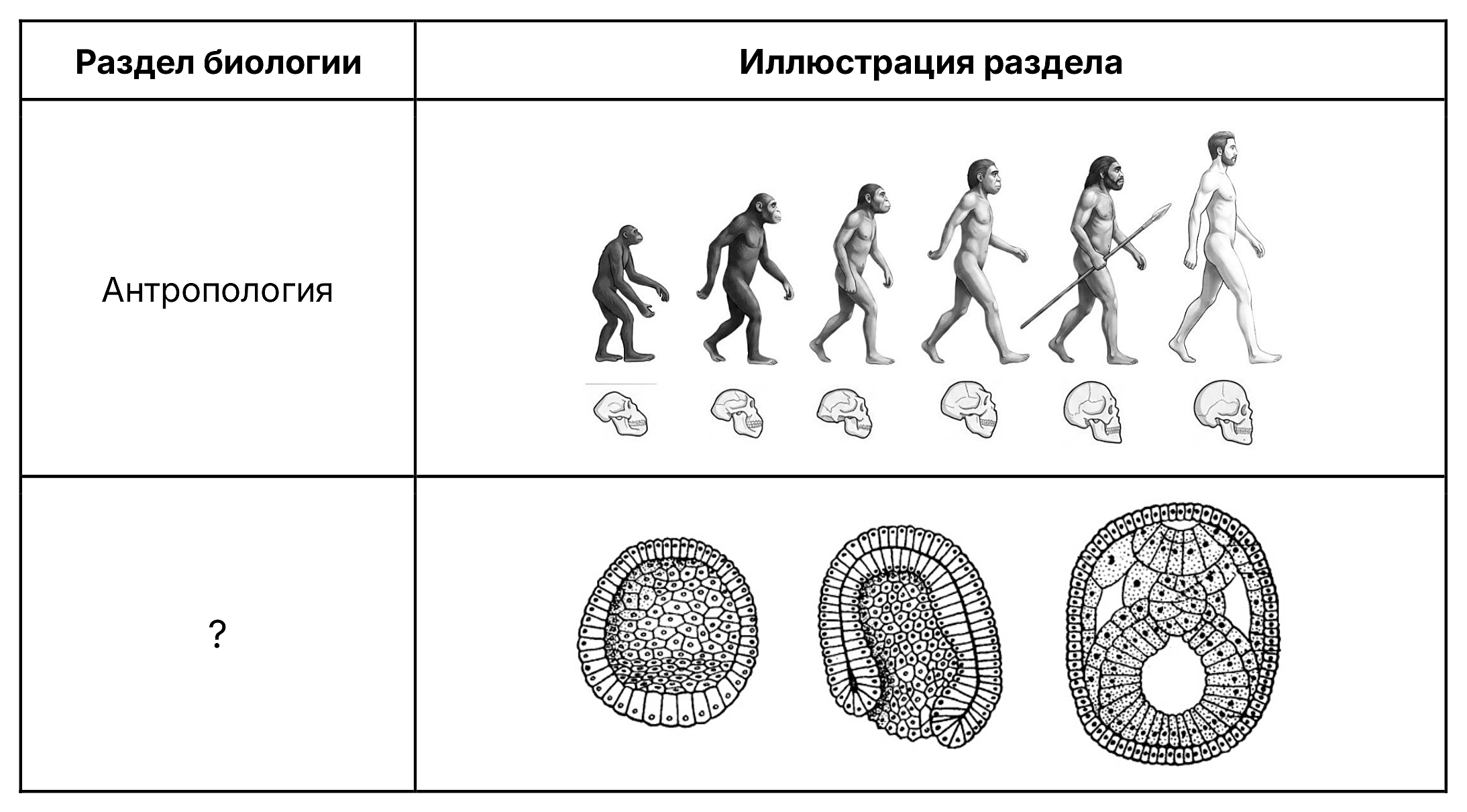 Рисунок