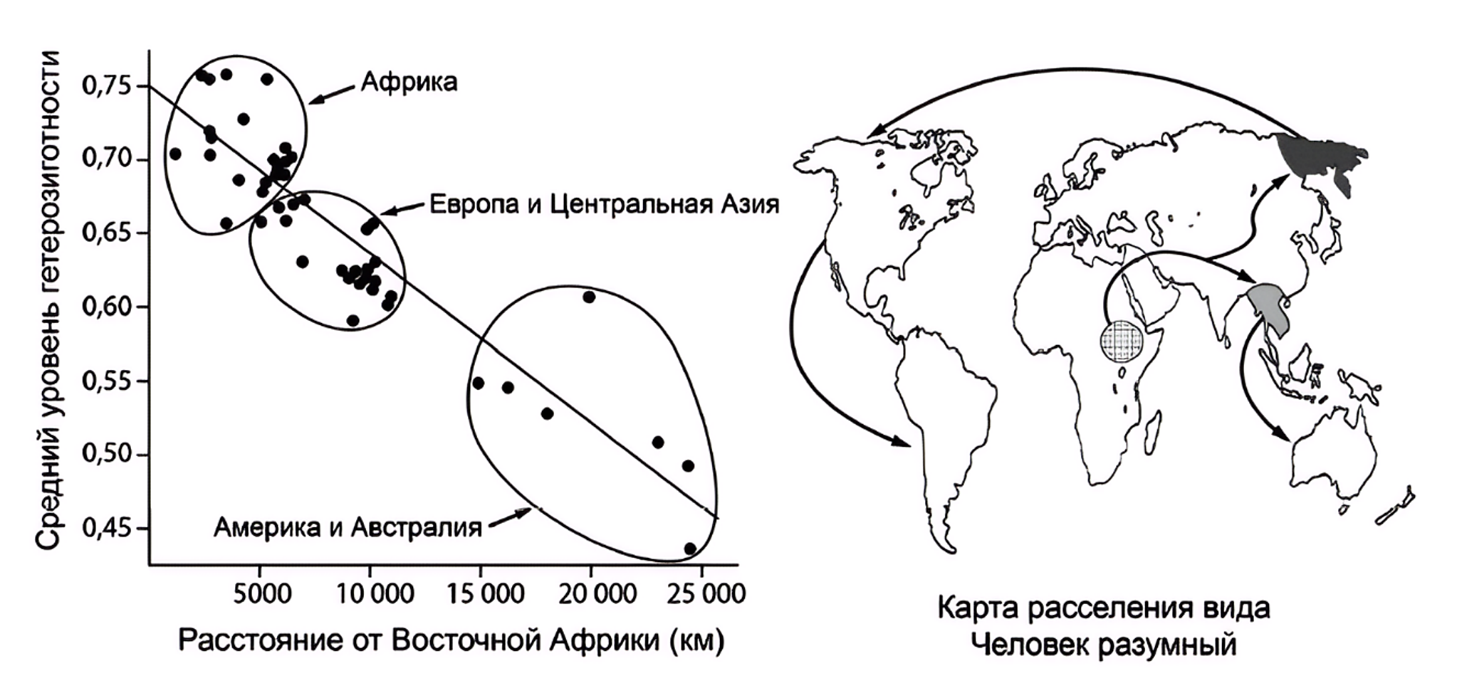 Рисунок