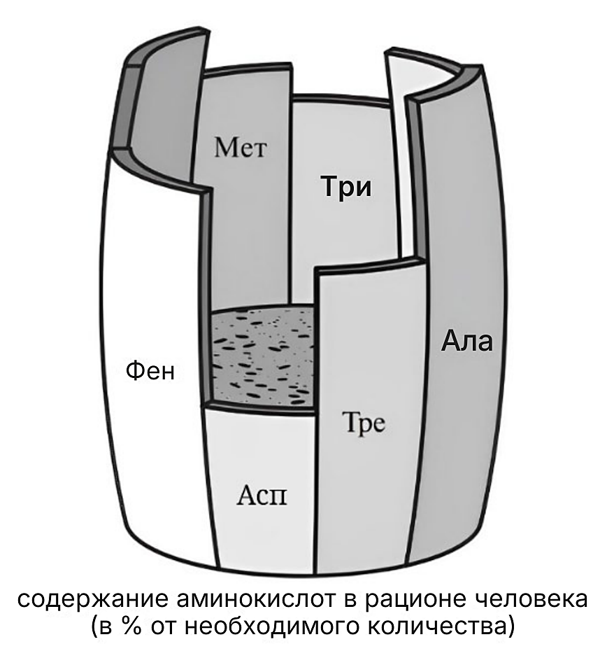 Рисунок