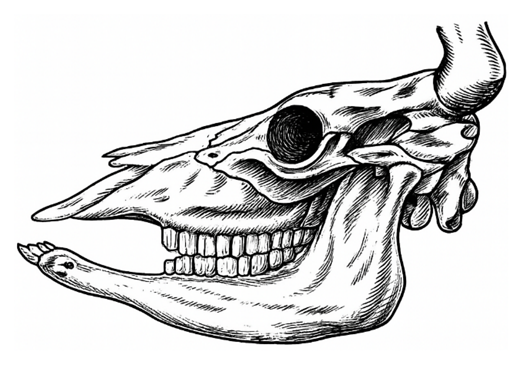 Рисунок