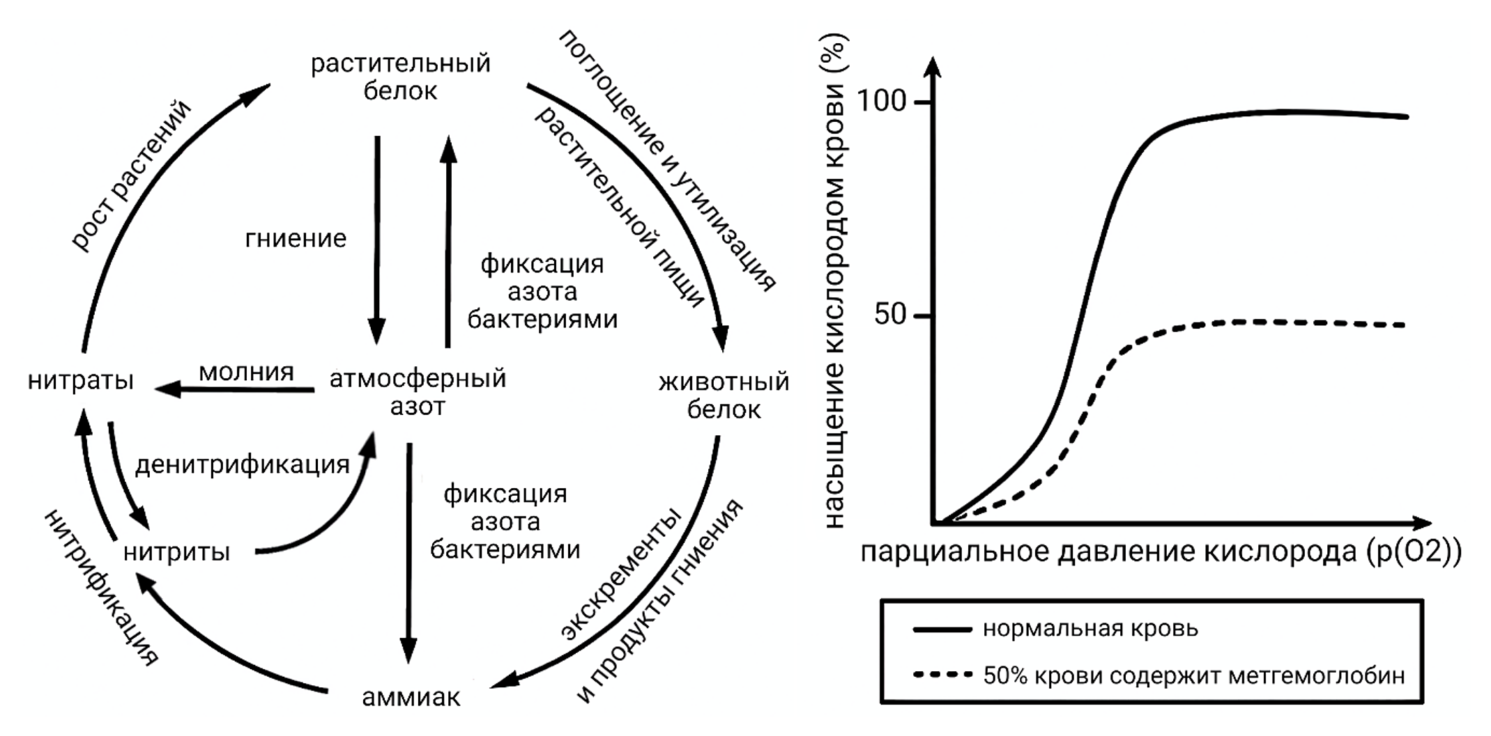 Рисунок