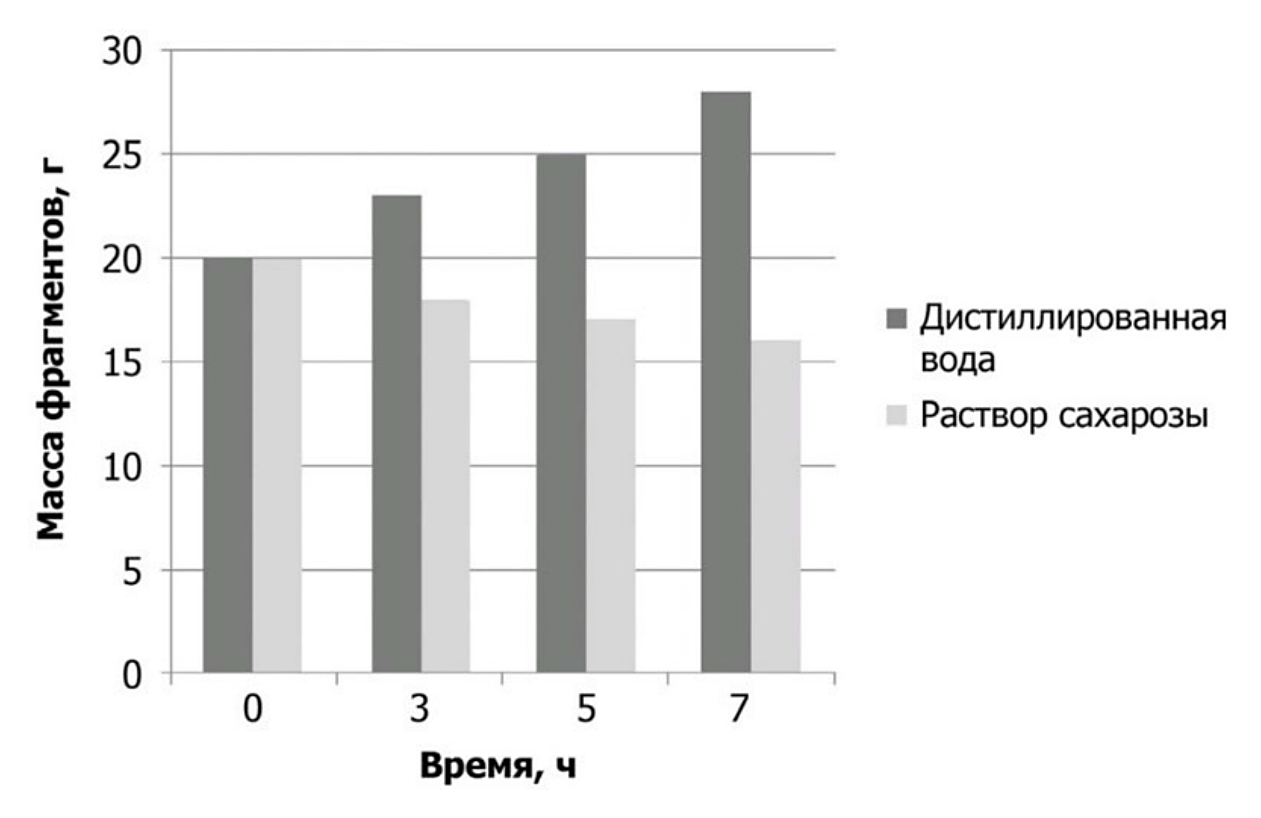 Рисунок
