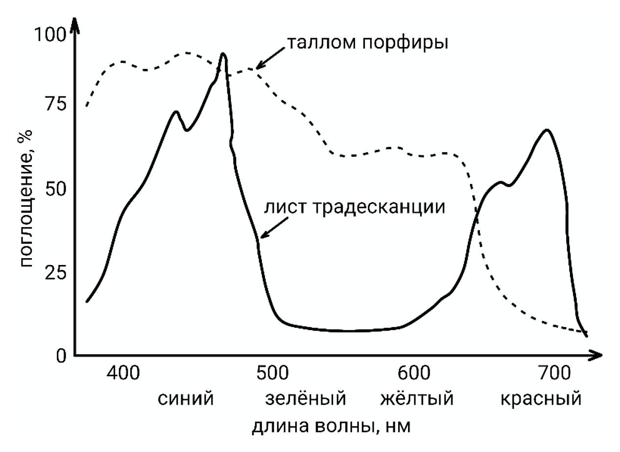 Рисунок