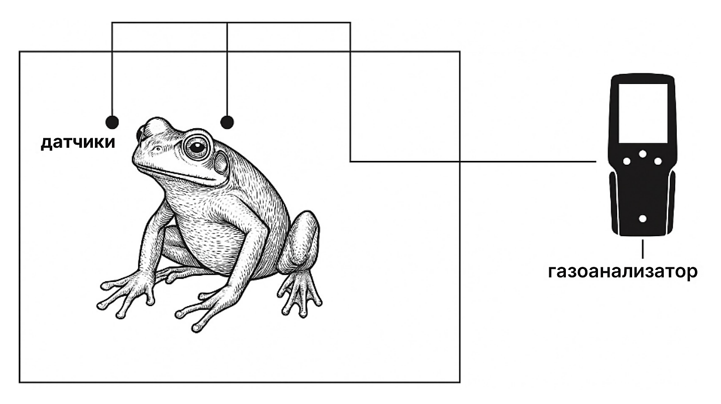 Рисунок