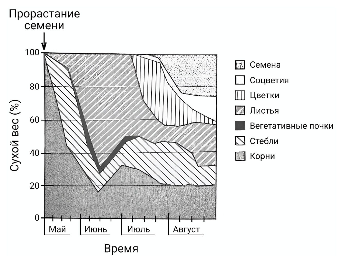 Рисунок