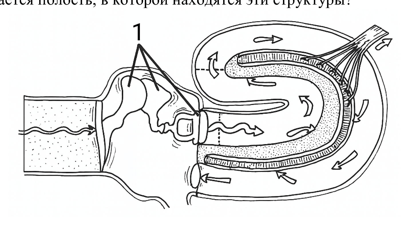 Рисунок