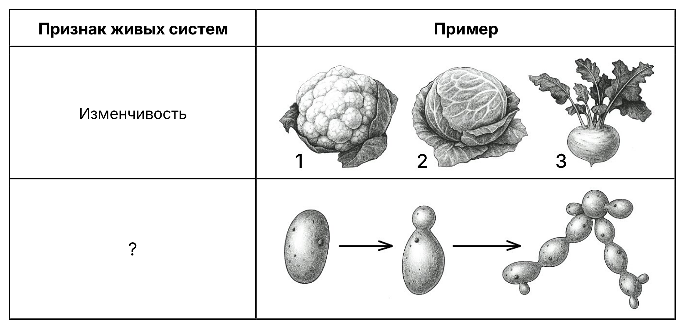 Рисунок
