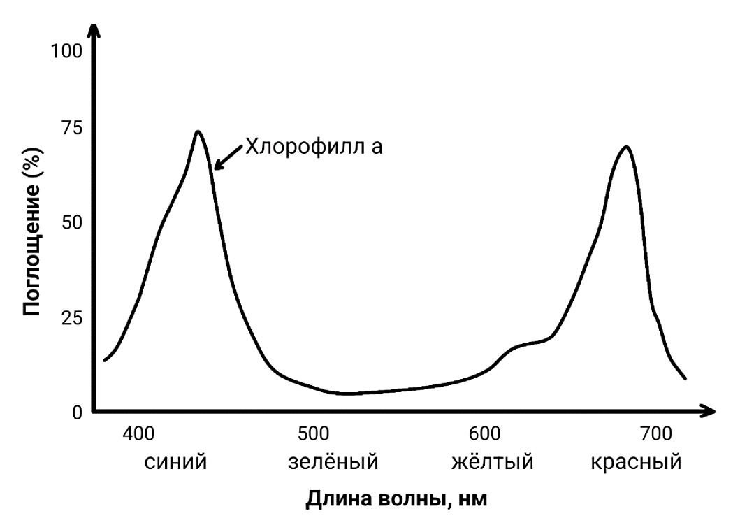 Рисунок
