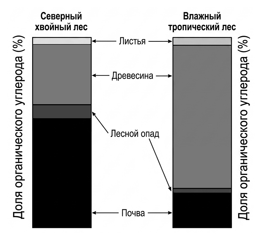 Рисунок