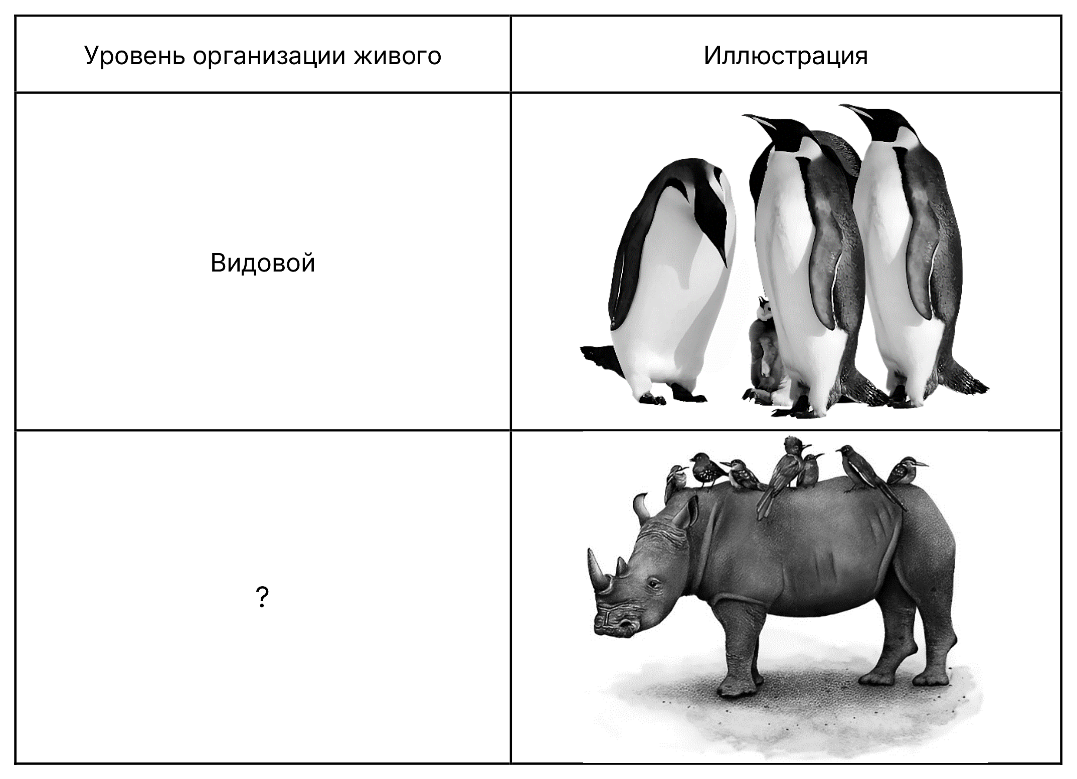 Рисунок