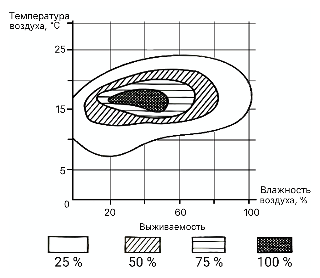 Рисунок