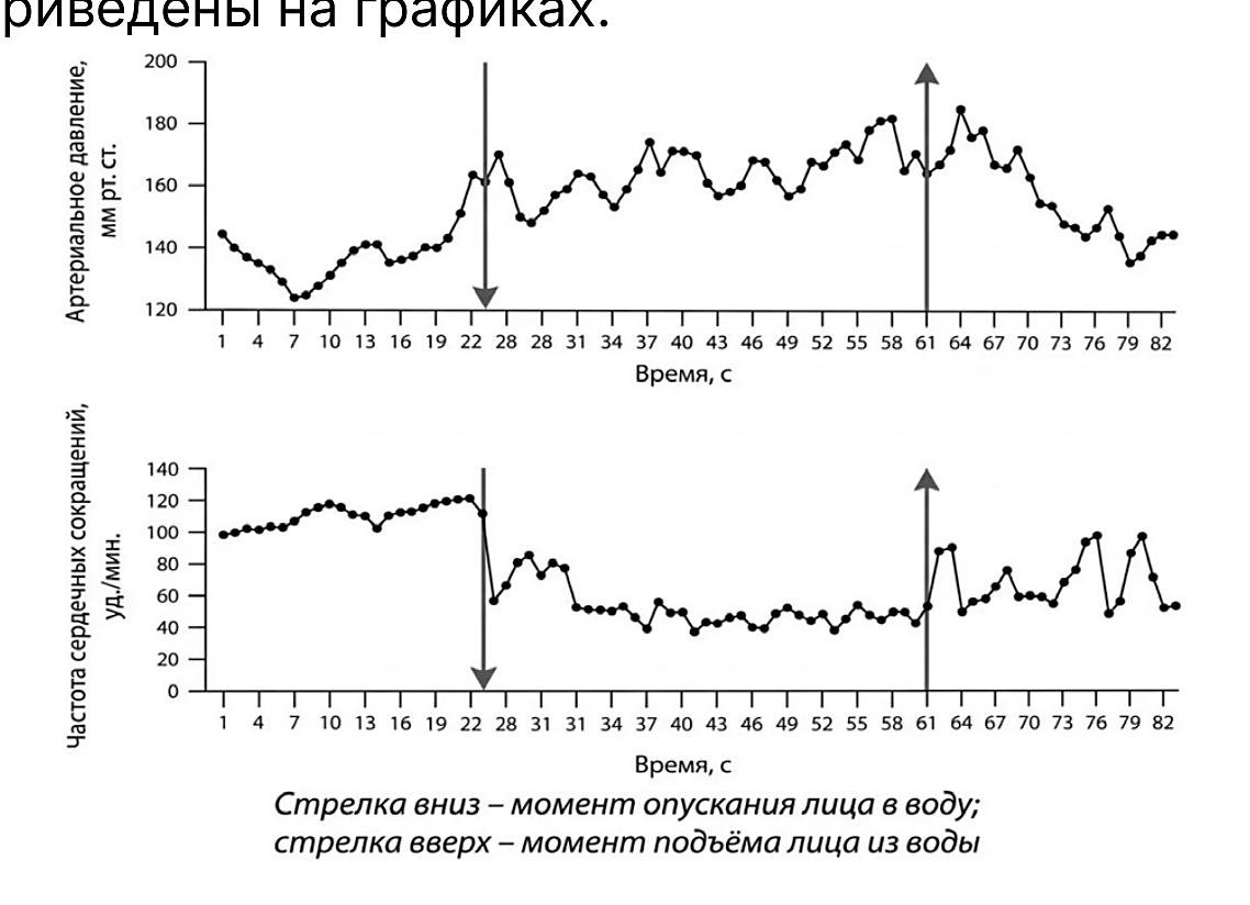Рисунок