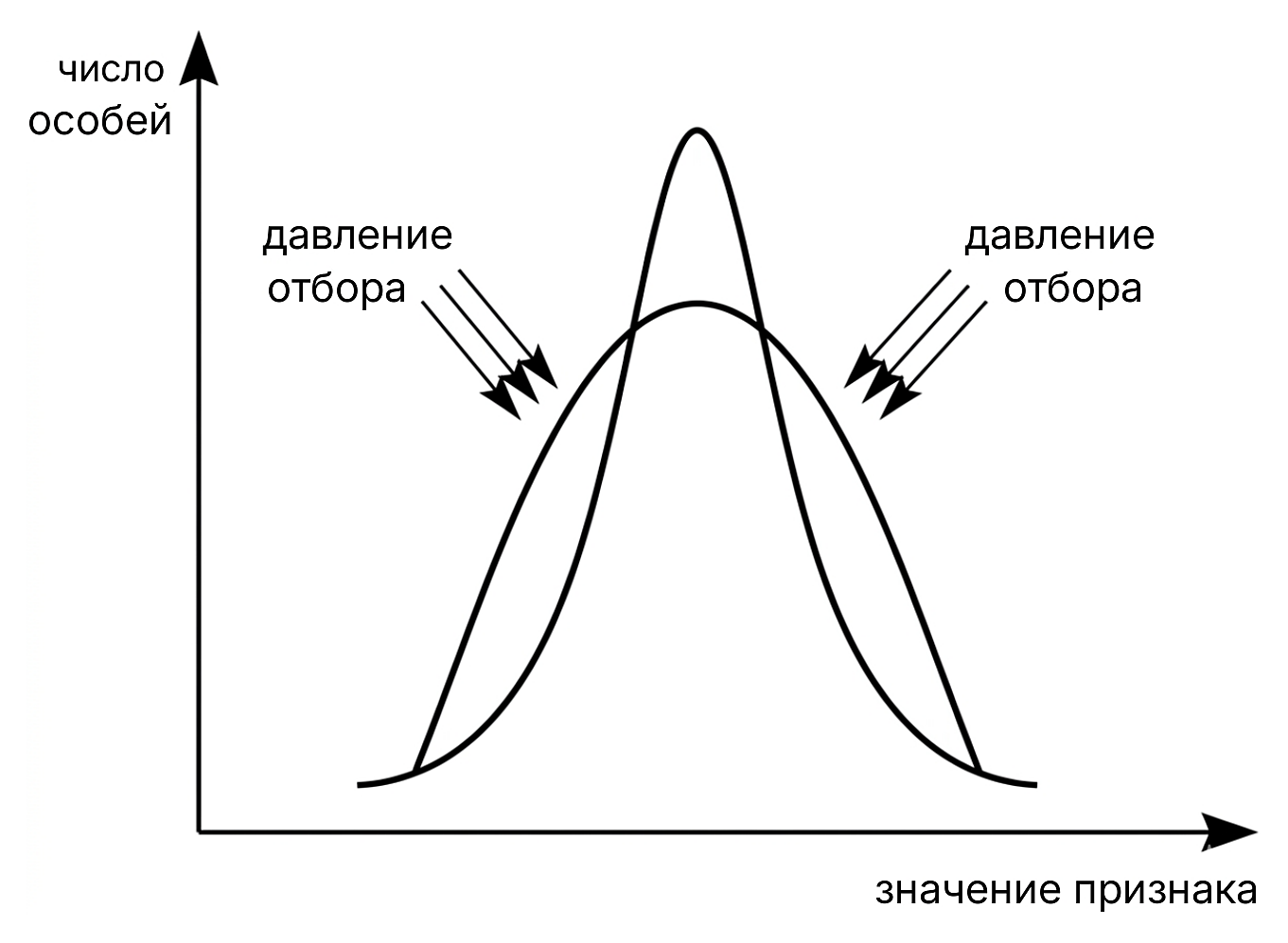 Рисунок