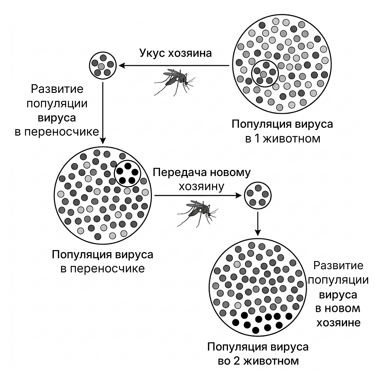 Рисунок