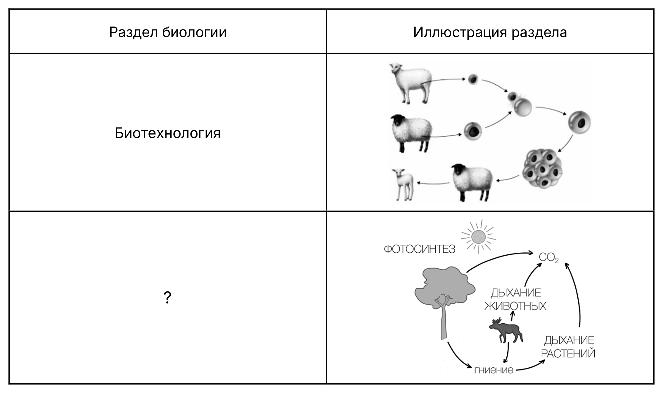 Рисунок