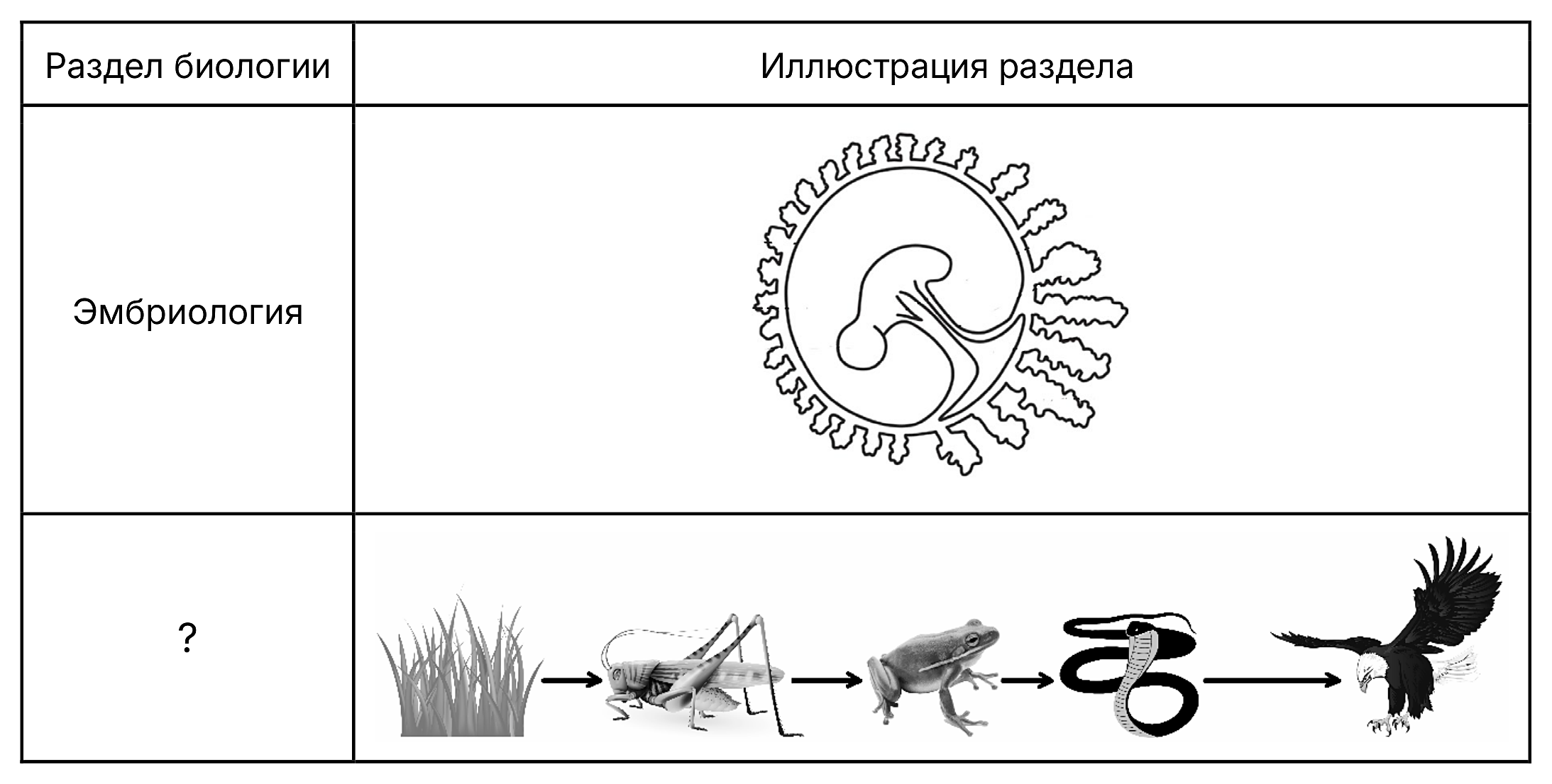 Рисунок