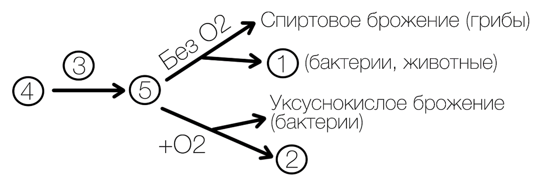 Рисунок