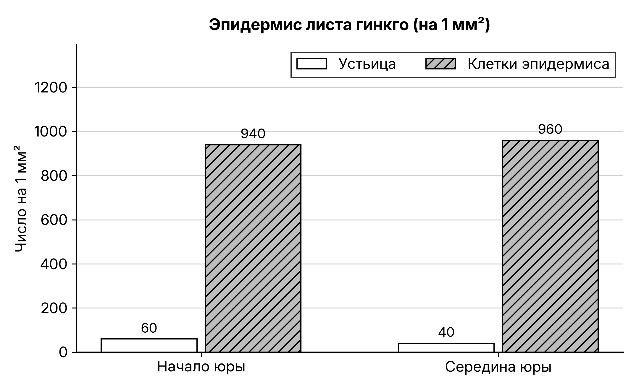 Рисунок