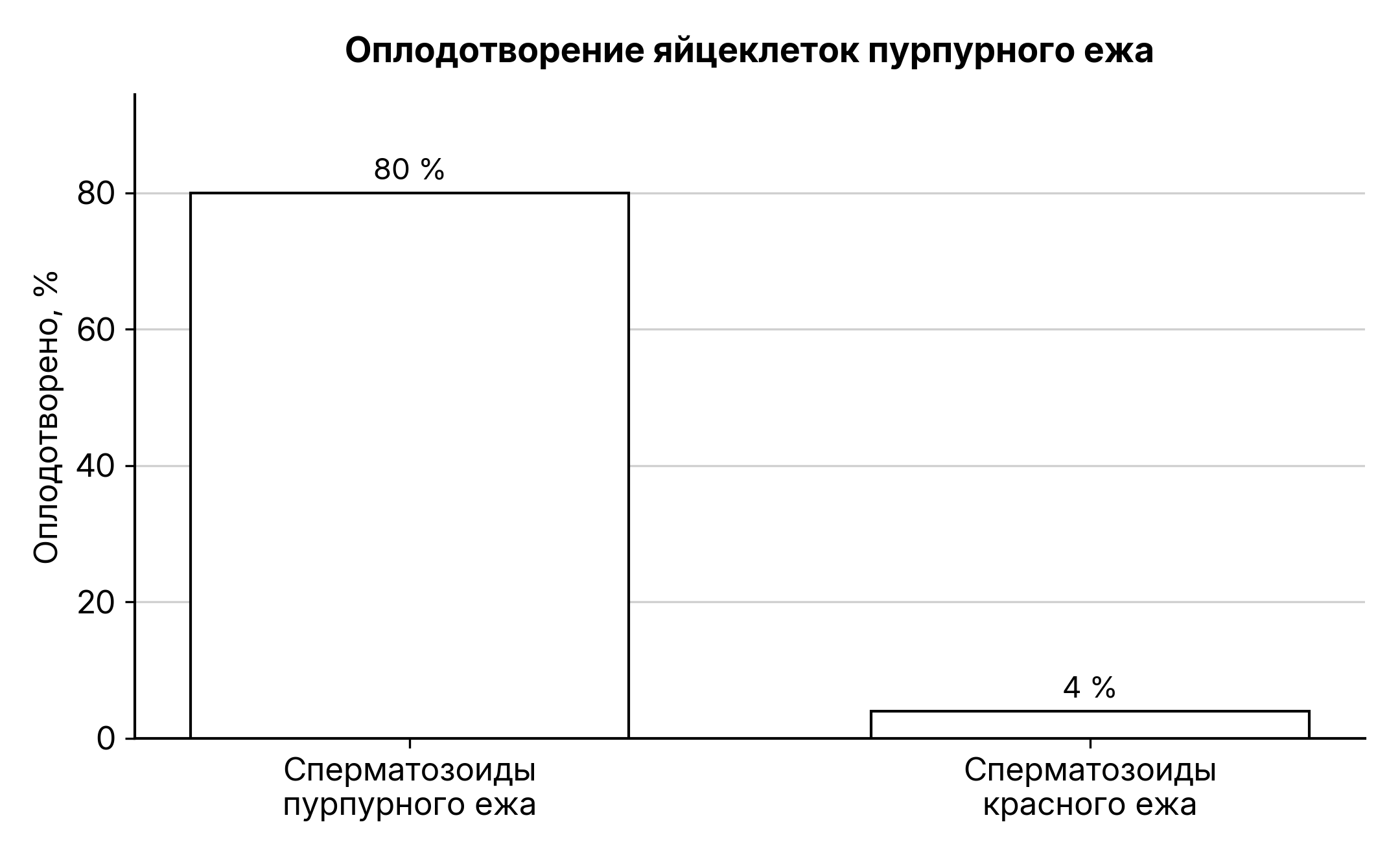 Рисунок