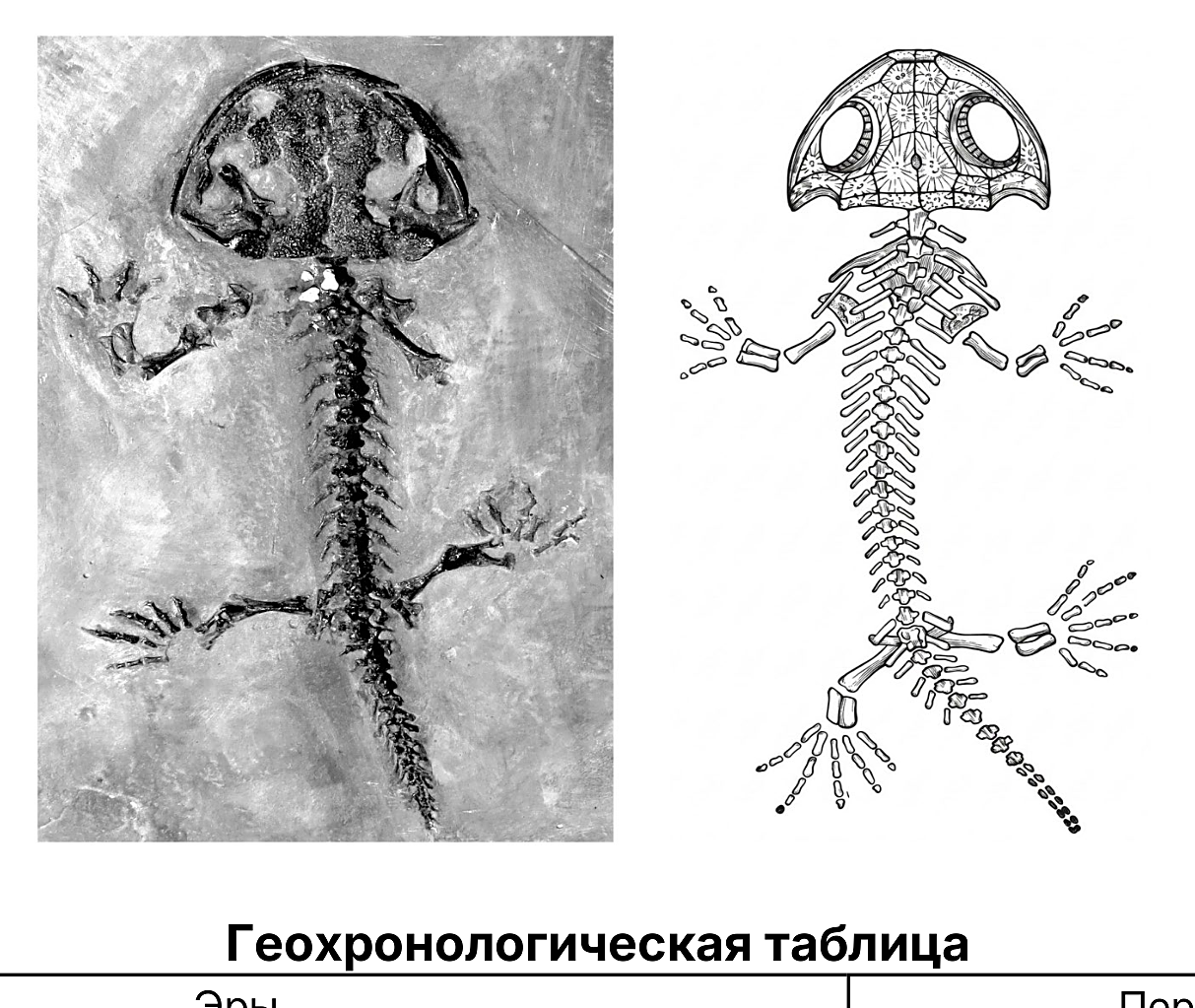 Рисунок