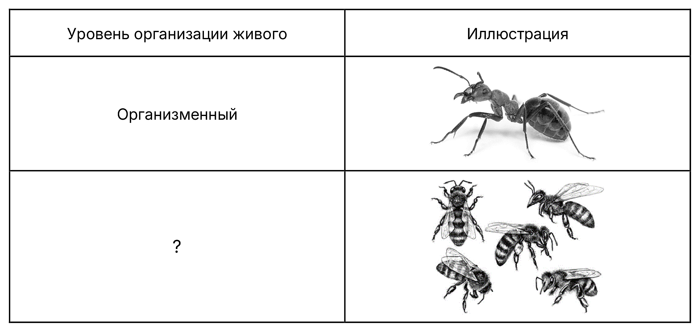 Рисунок