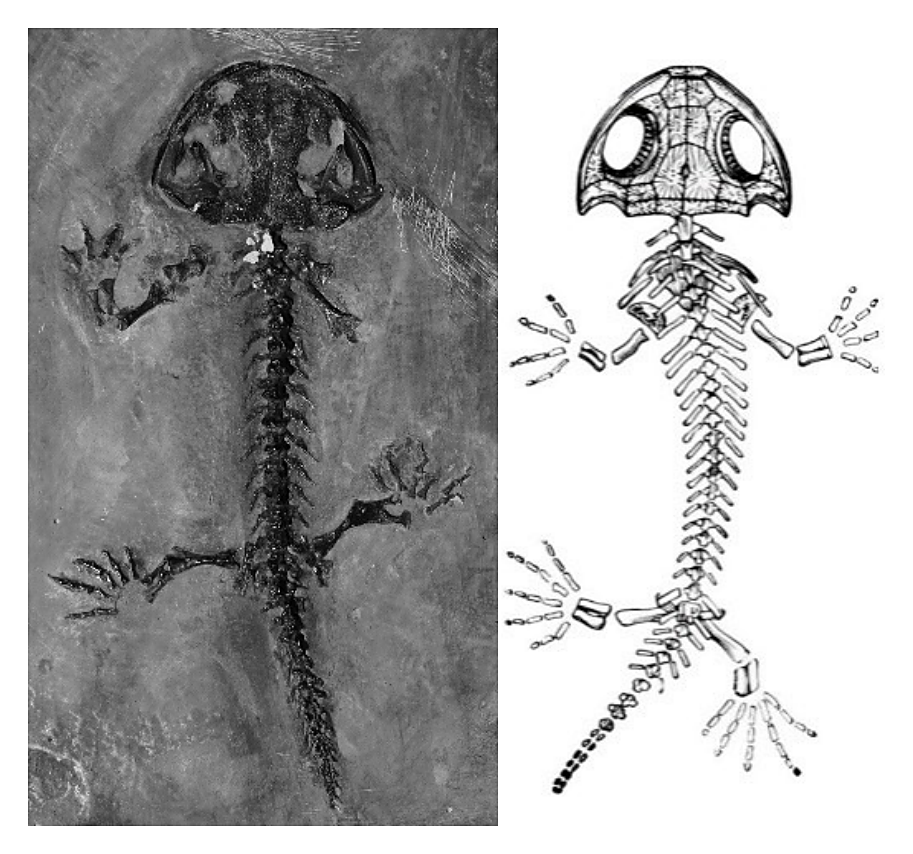 Рисунок