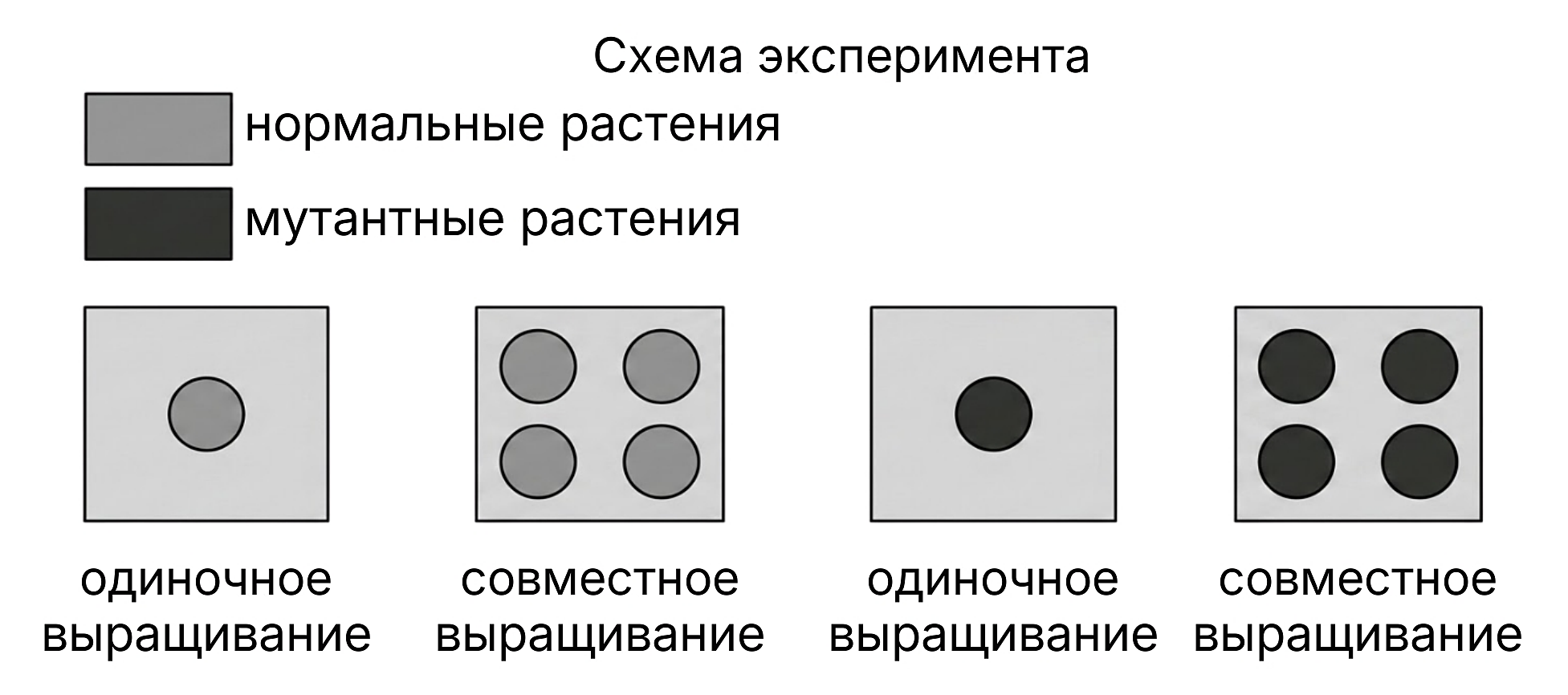 Рисунок