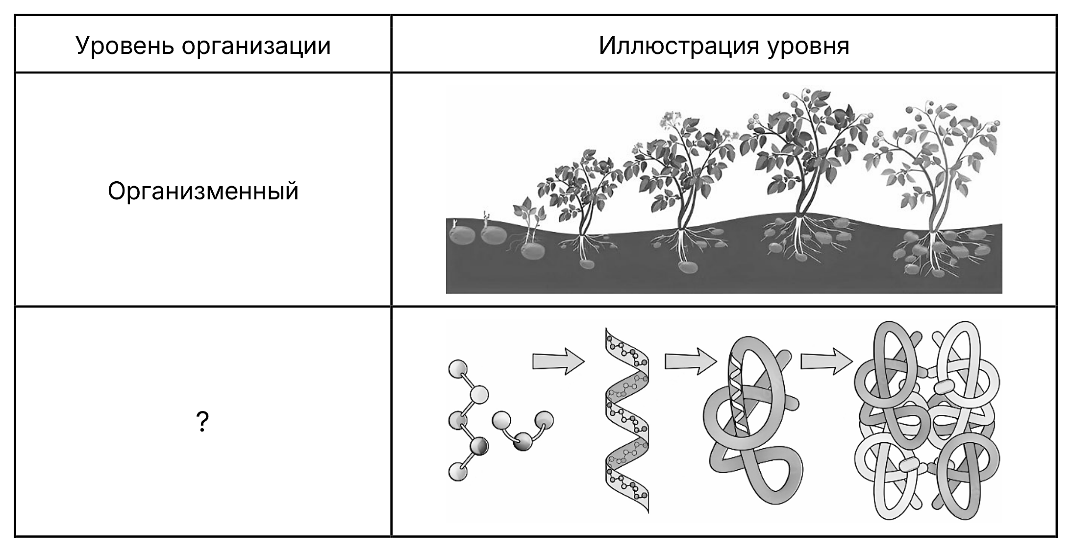 Рисунок