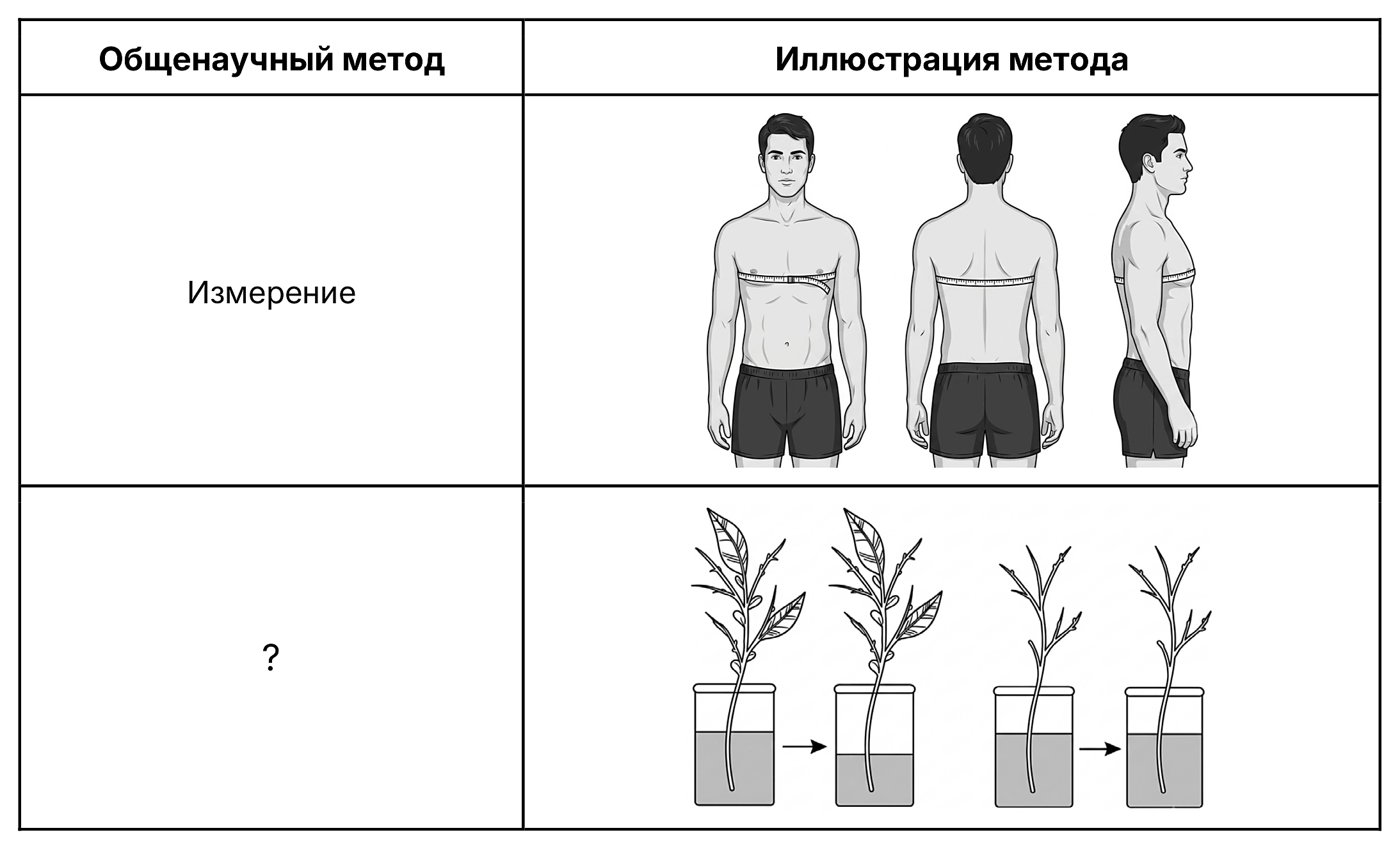 Рисунок