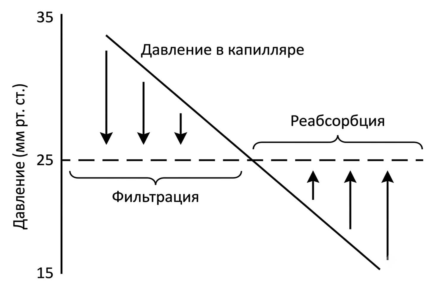 Рисунок