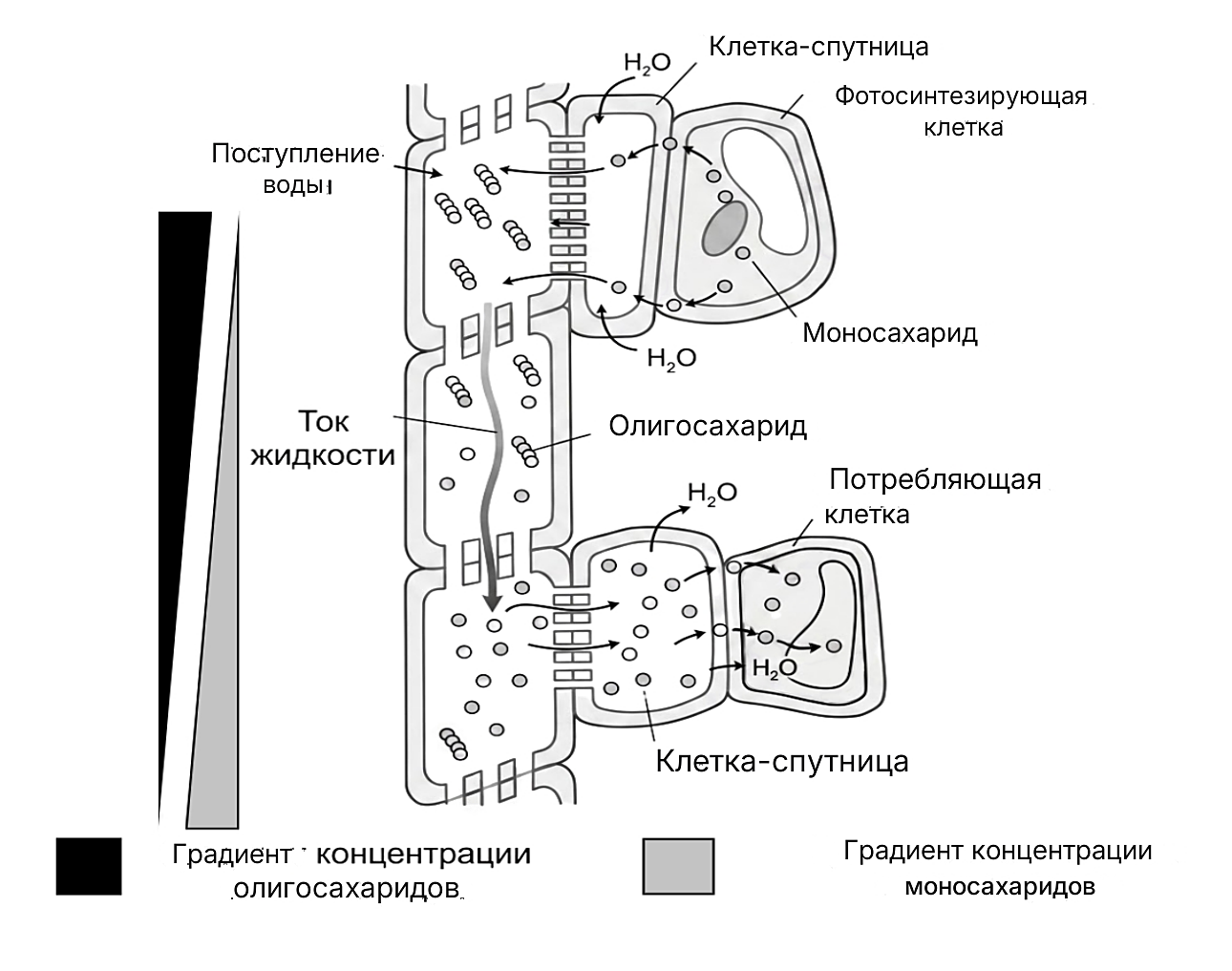 Рисунок
