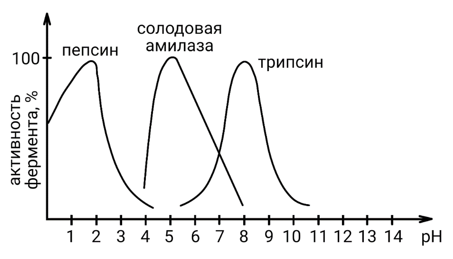 Рисунок