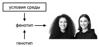 Какой метод генетики изображен на рисунке?